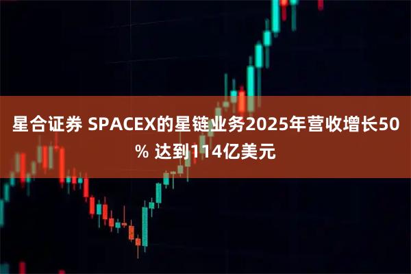星合证券 SPACEX的星链业务2025年营收增长50% 达到114亿美元