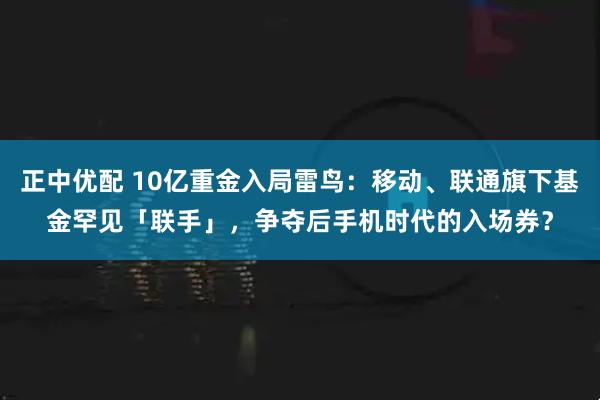 正中优配 10亿重金入局雷鸟：移动、联通旗下基金罕见「联手」，争夺后手机时代的入场券？