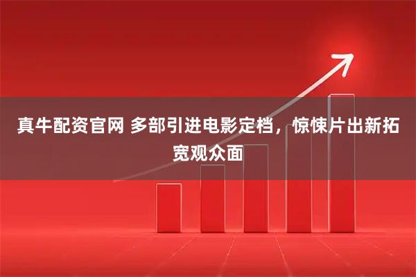 真牛配资官网 多部引进电影定档，惊悚片出新拓宽观众面