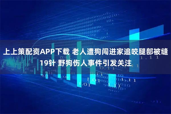 上上策配资APP下载 老人遭狗闯进家追咬腿部被缝19针 野狗伤人事件引发关注